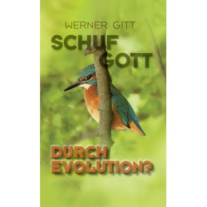 Schuf Gott durch Evolution?