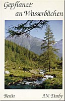 Gepflanzt an Wasserbächen