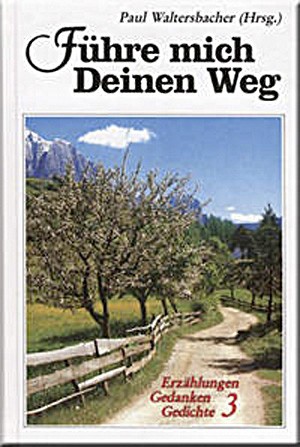 Führe mich Deinen Weg Band 3