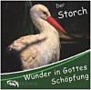 Der Storch - Wunder in Gottes Schöpfung (CD)