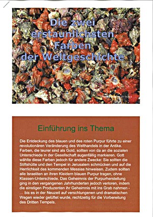 Power Point Präsentation "Die erstaunlichsten zwei Farben in der Weltgeschichte"