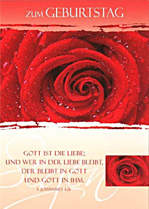 Postkarte - Geburtstag - Rose