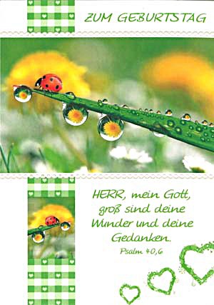 Postkarte - Geburtstag - Marienkäfer