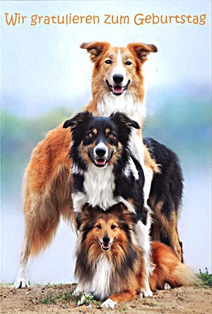 Faltkarte - Geburtstag - Hunde