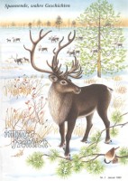 Immer fröhlich - Kinderzeitschrift Jg. 1992