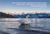 Postkarte - Oberhofen am Thunersee