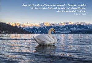 Postkarte - Oberhofen am Thunersee