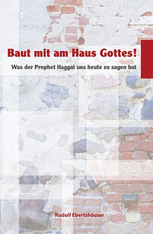 Baut mit am Haus Gottes! - eBook