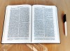 Elberfelder (unrevidiert) Hausbibel, Goldschnitt