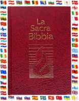 Bibeln in diversen Fremdsprachen